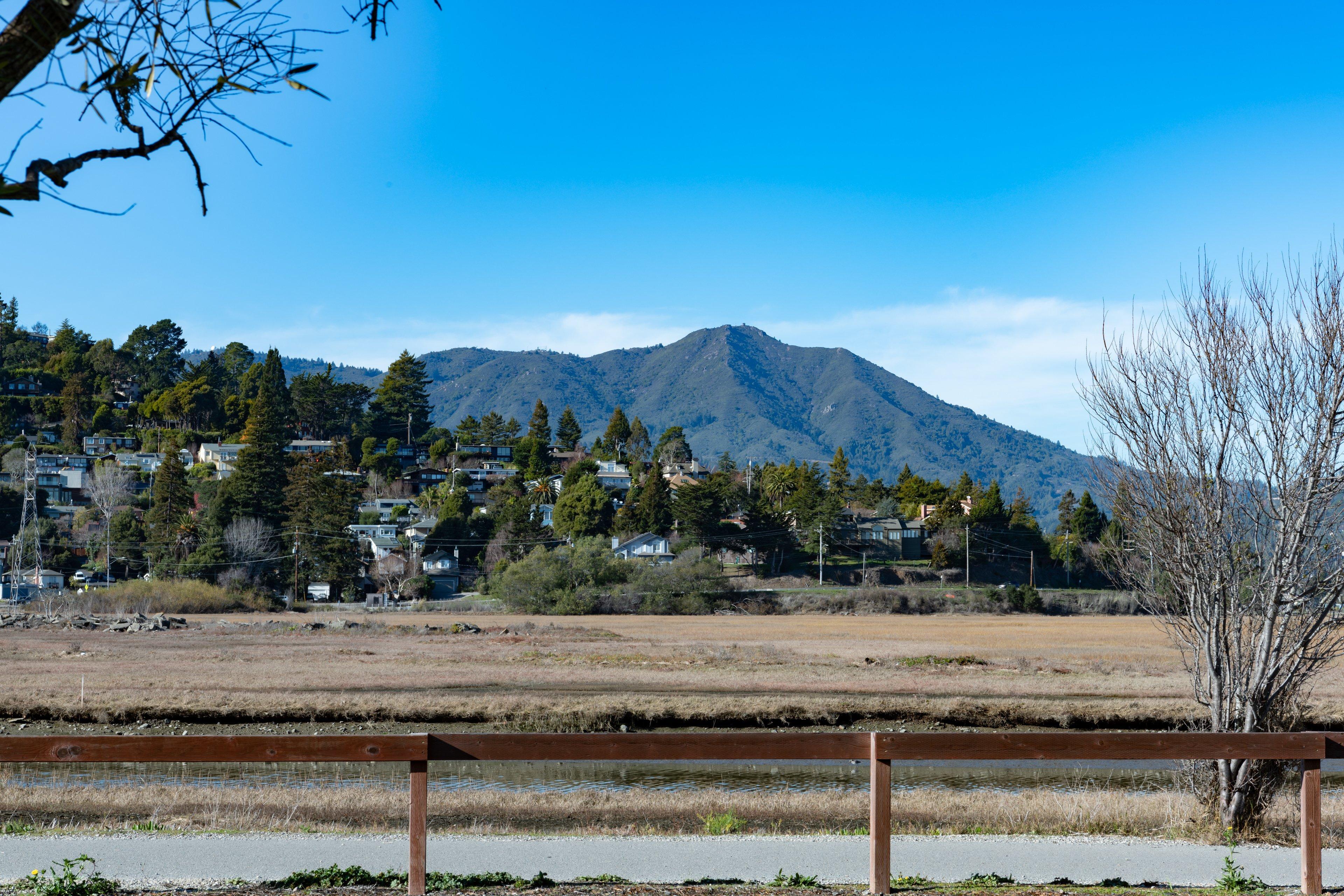 Holiday Inn Express Mill Valley San Francisco Area By Ihg Exterior photo