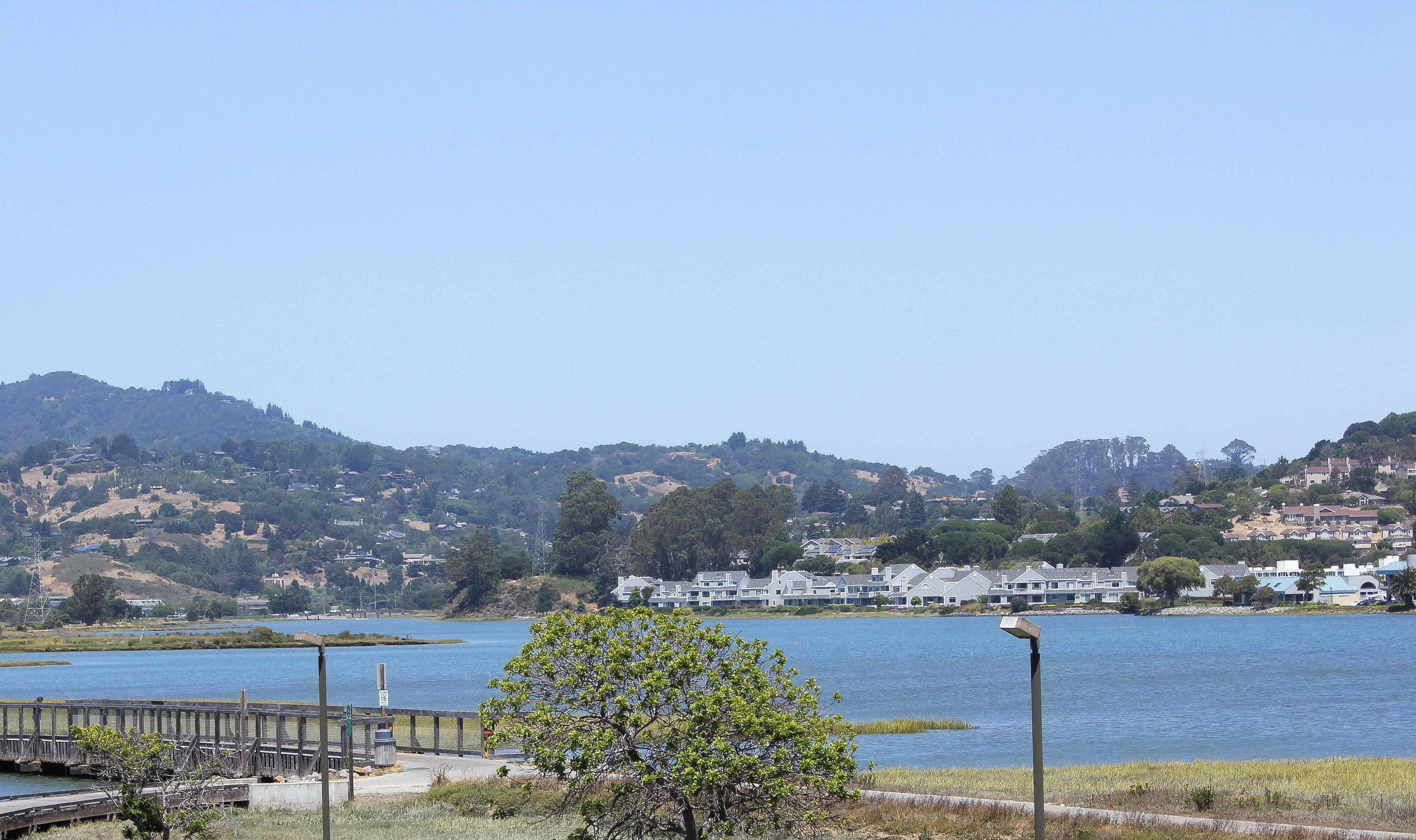 Holiday Inn Express Mill Valley San Francisco Area By Ihg Exterior photo